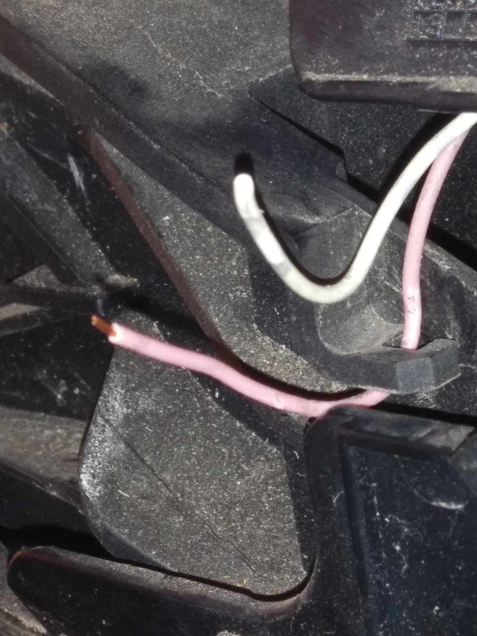 20191205_160048.jpg