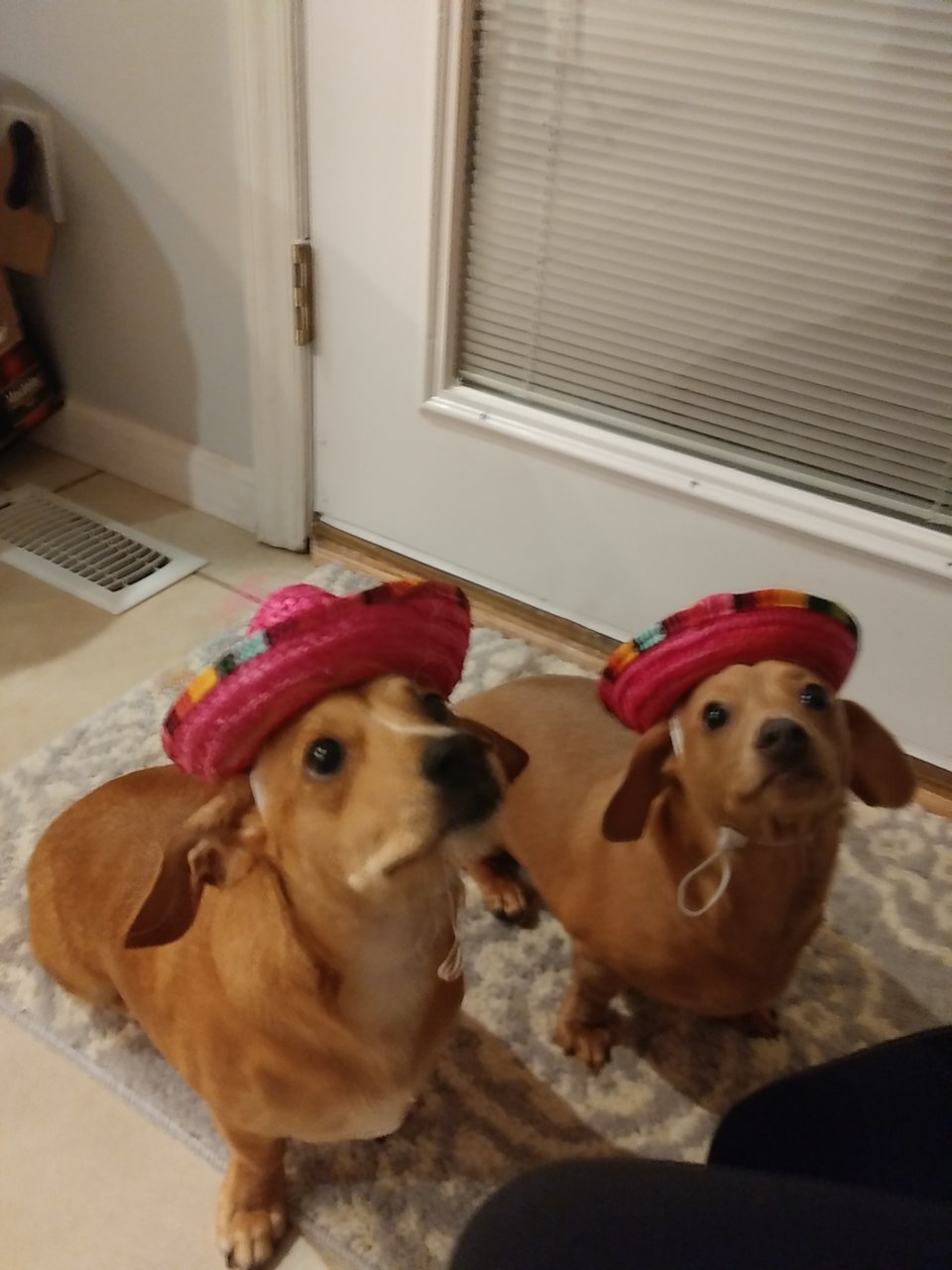 20191205_181944.jpg