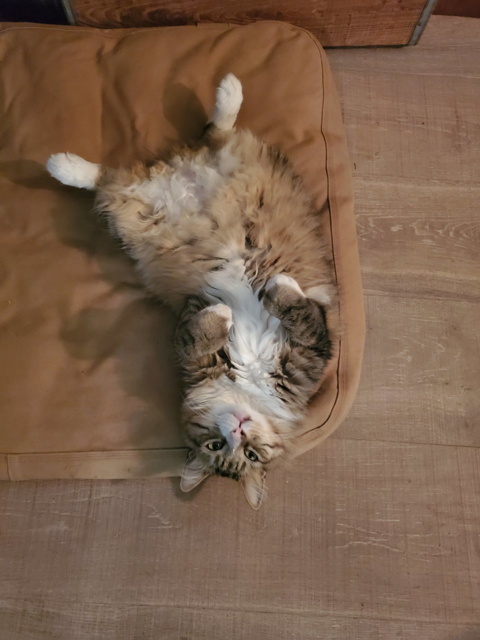 20191205_204451.jpg