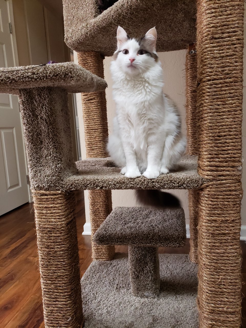 20191207_083956.jpg
