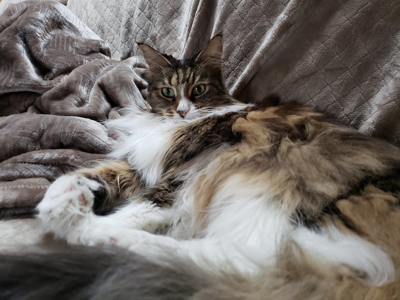 20191207_084139.jpg