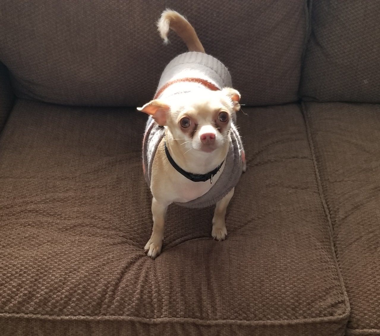 20191207_115242.jpg