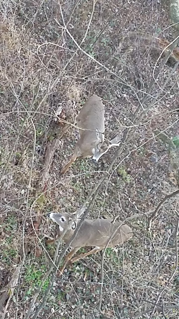 20191207_162637.jpg