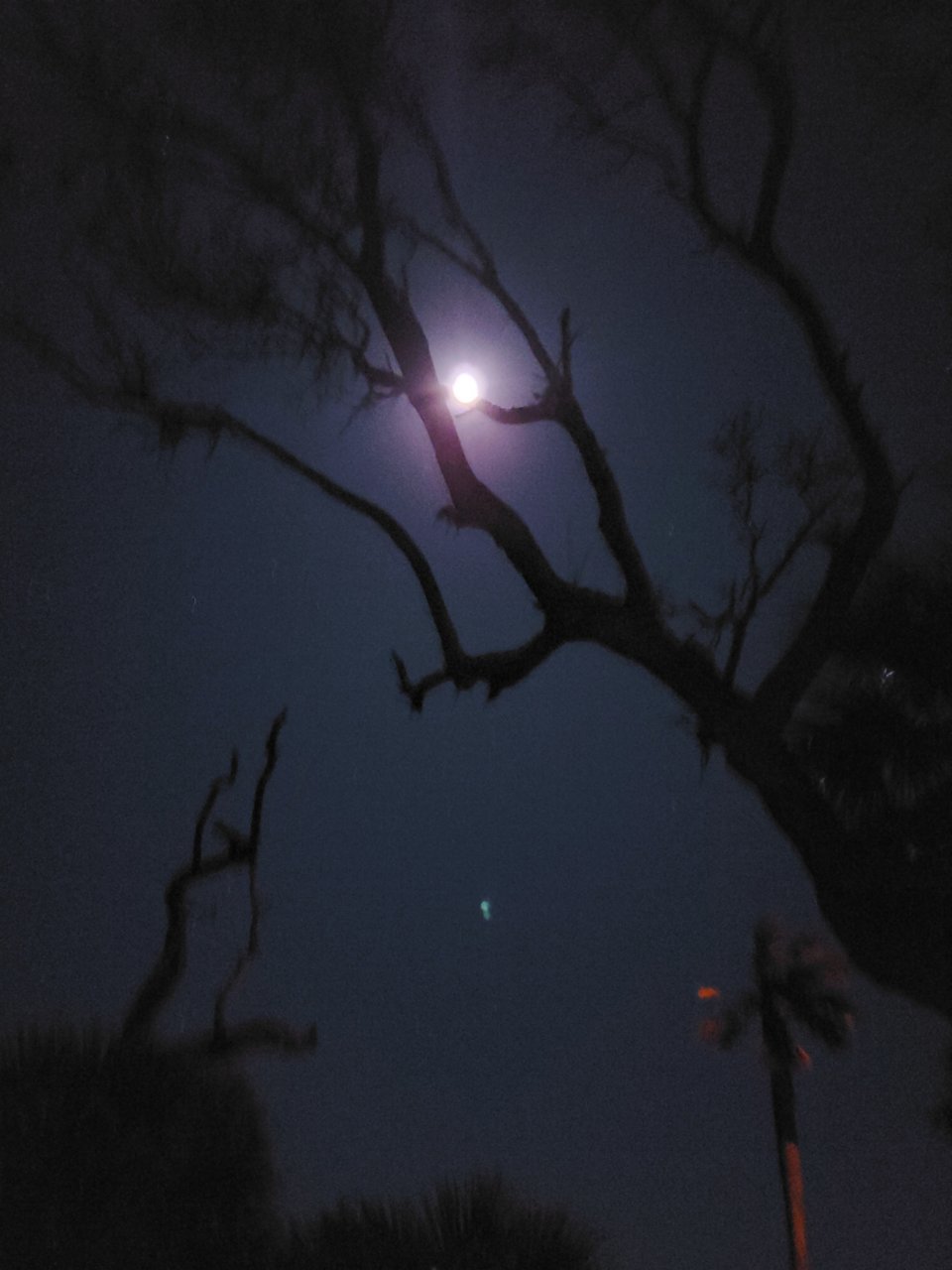 20191207_191805.jpg