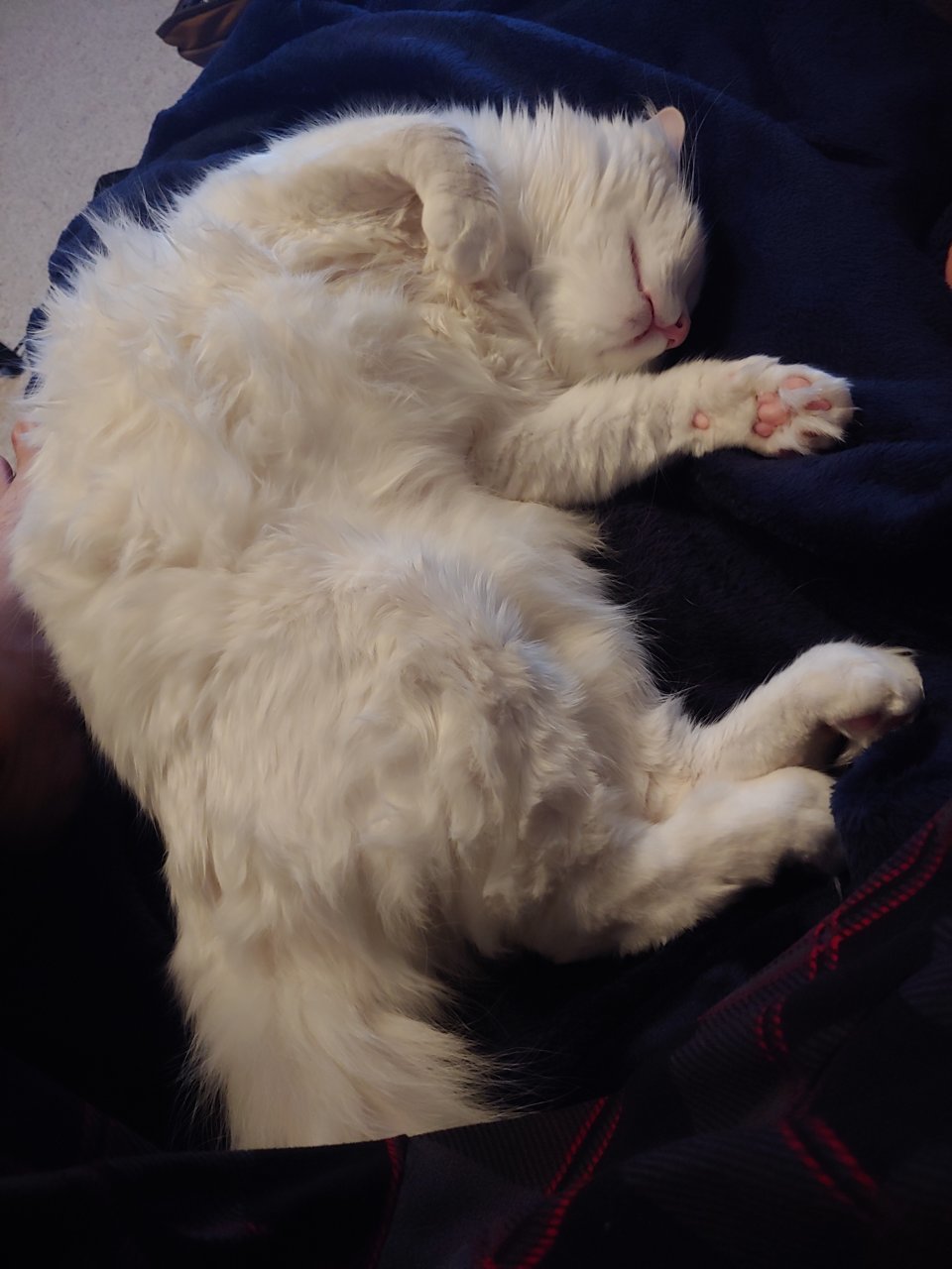 20191207_195813.jpg