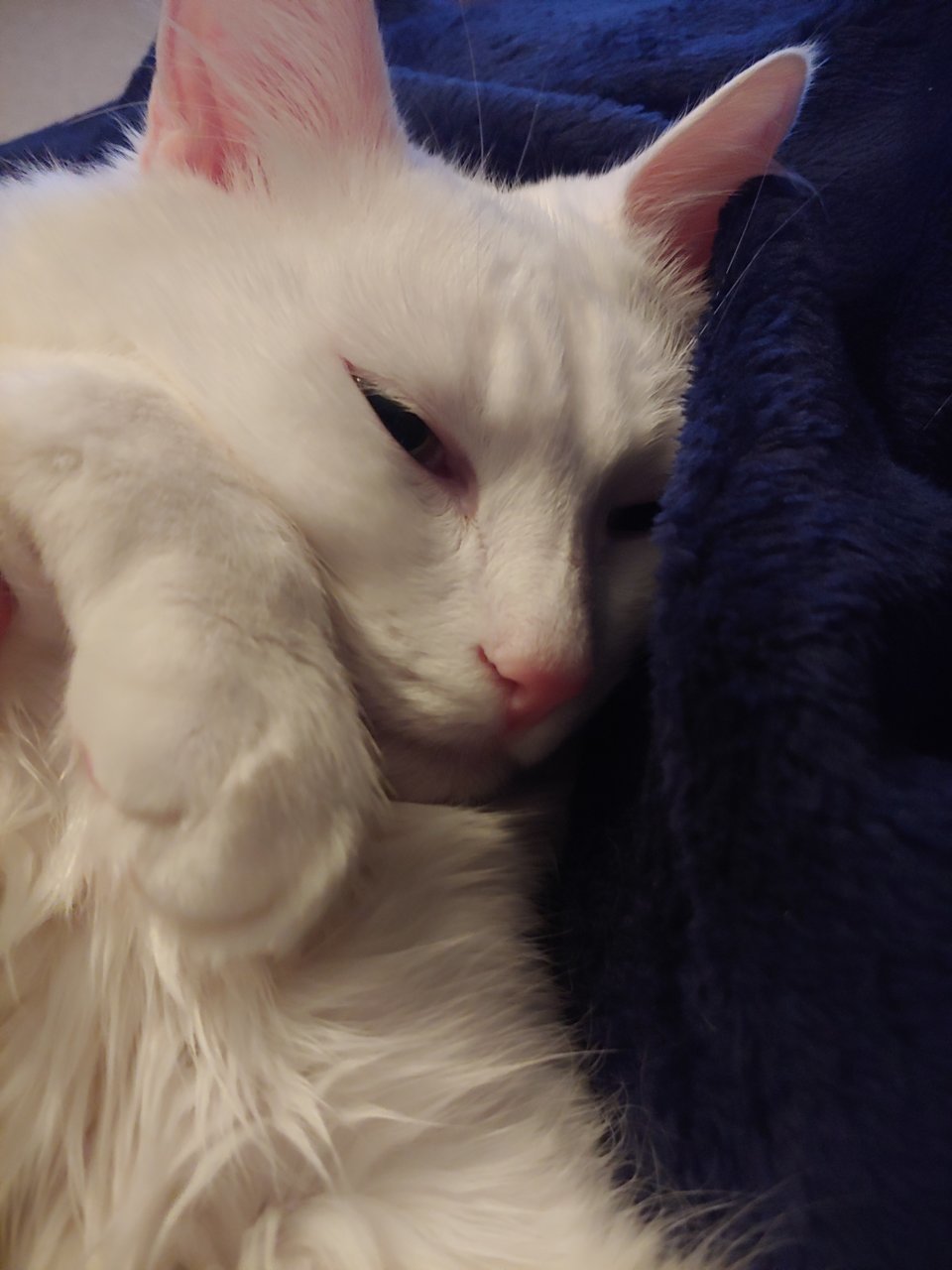 20191207_201754.jpg