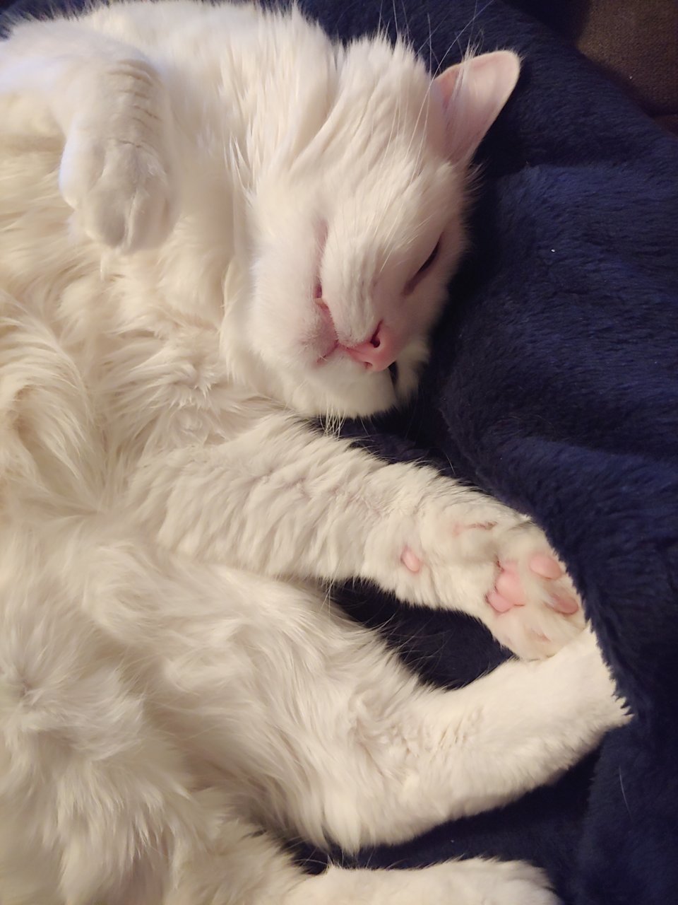 20191207_201959.jpg
