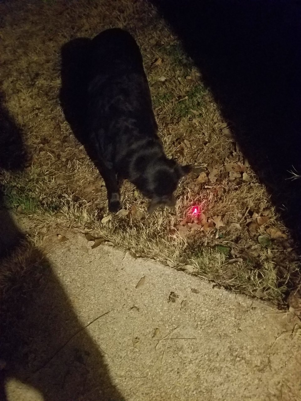 20191207_234241.jpg