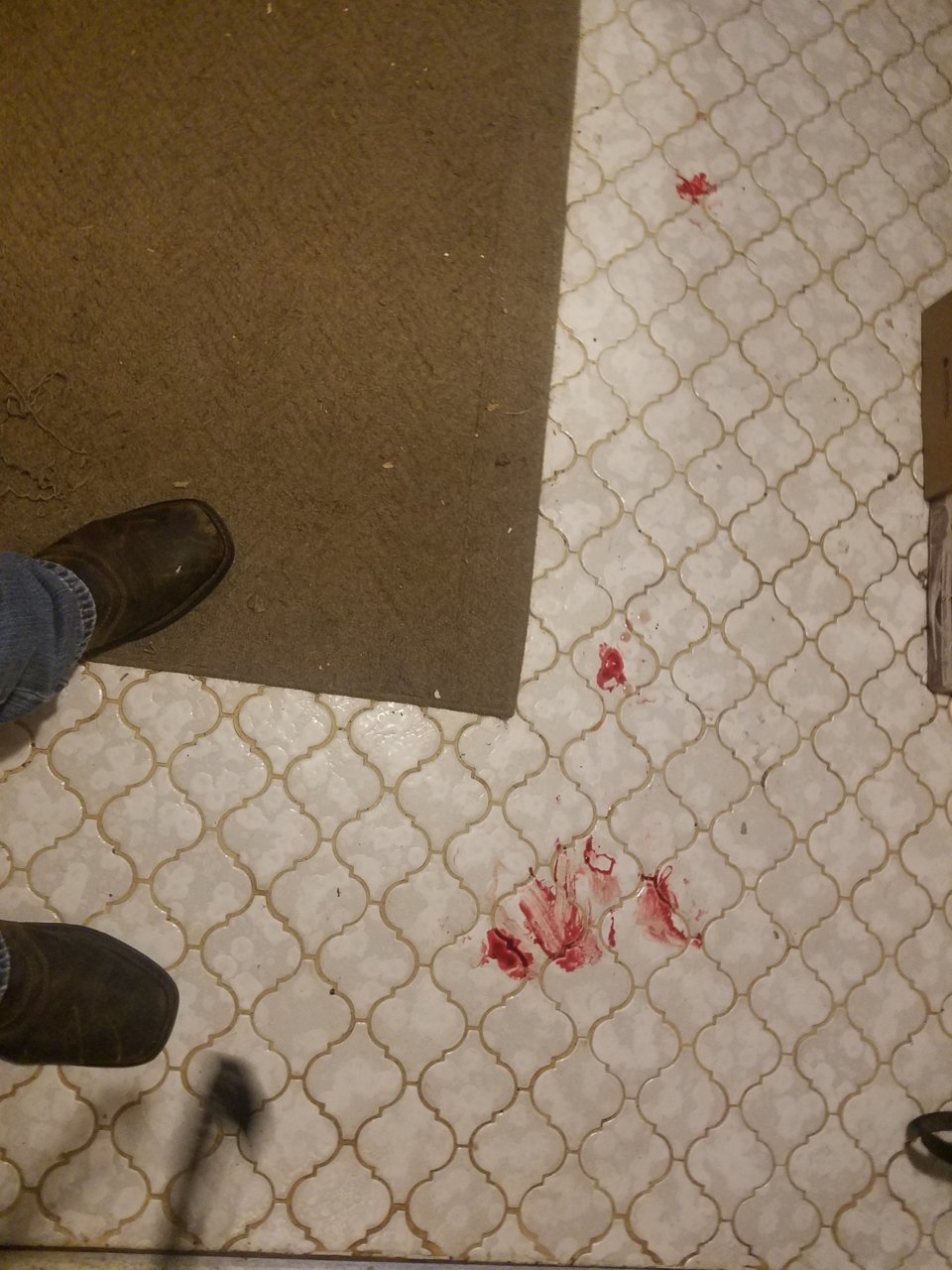 20191208_201041.jpg