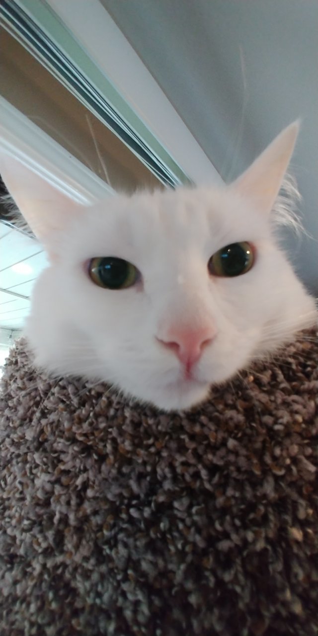 20191209_074816.jpg