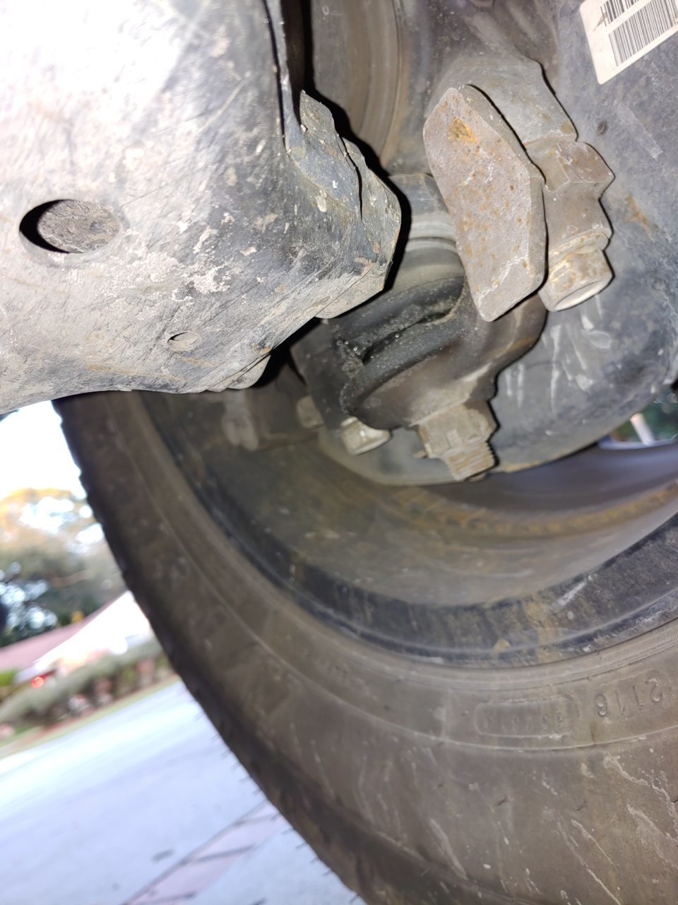 20191209_171203_HDR.jpg