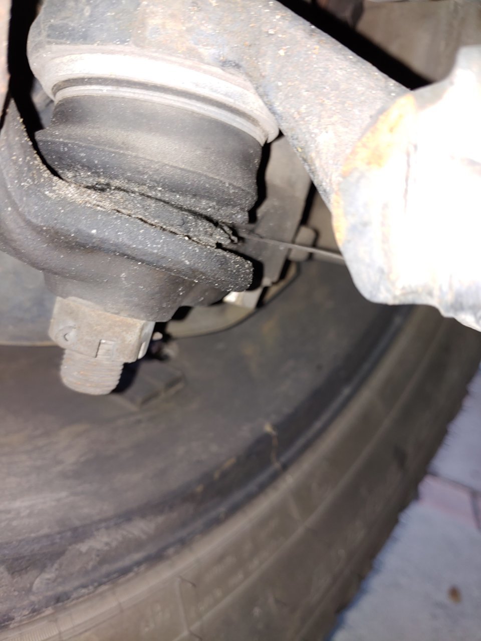 20191209_171236_HDR.jpg