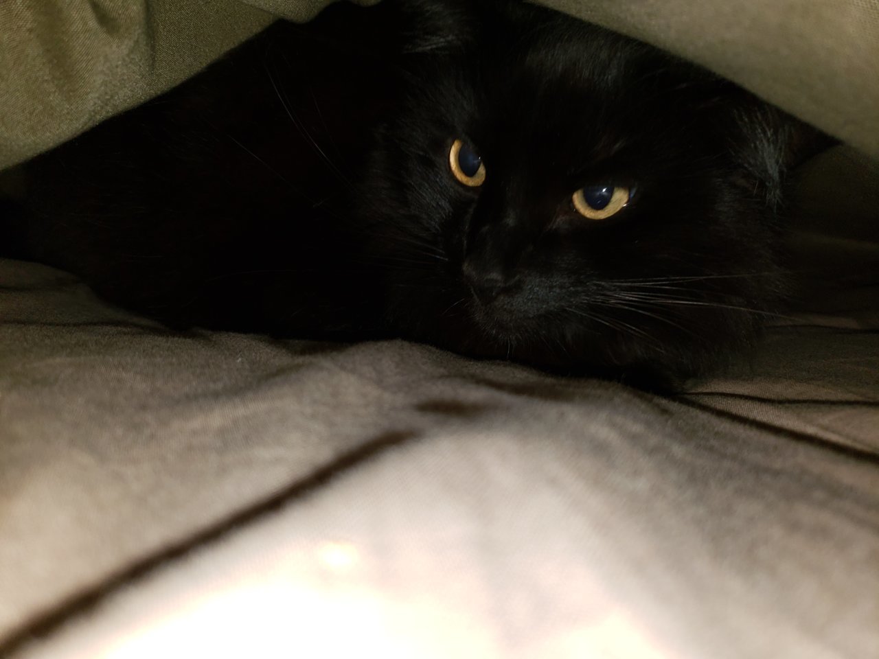 20191209_212511.jpg