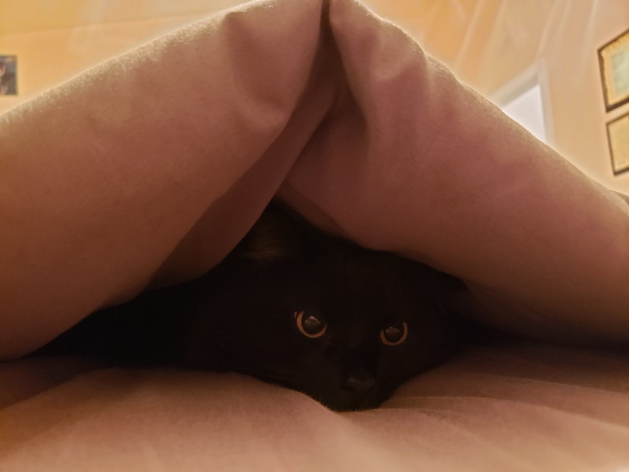 20191209_212650.jpg