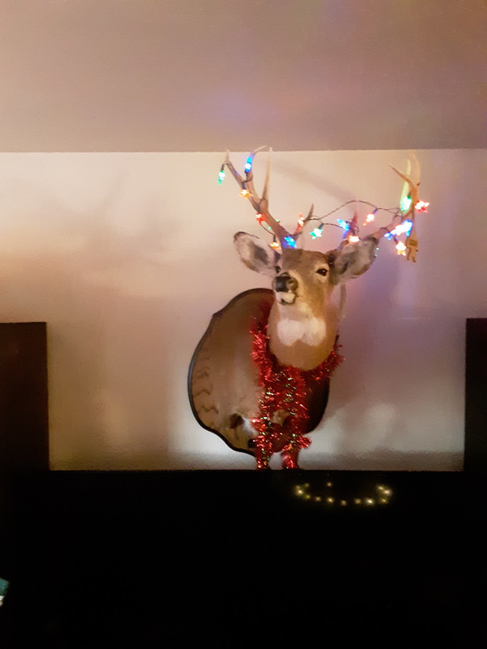 20191210_153723.jpg