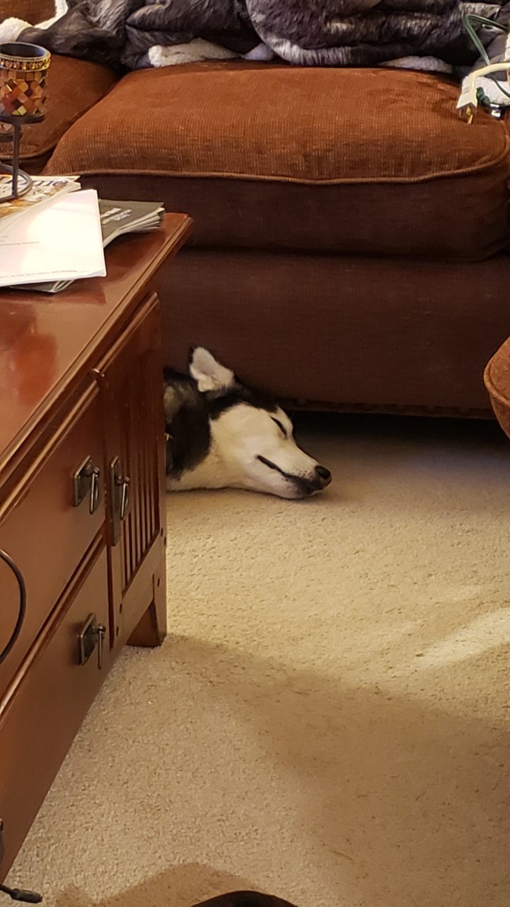 20191210_190343.jpg