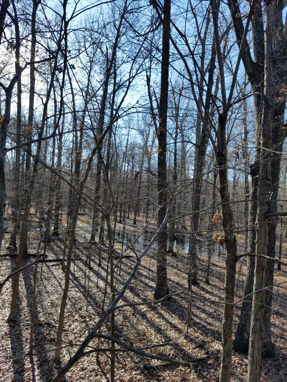 20191211_140129.jpg