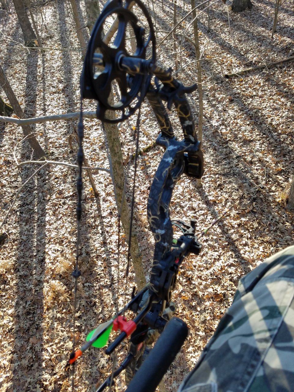 20191211_141746.jpg