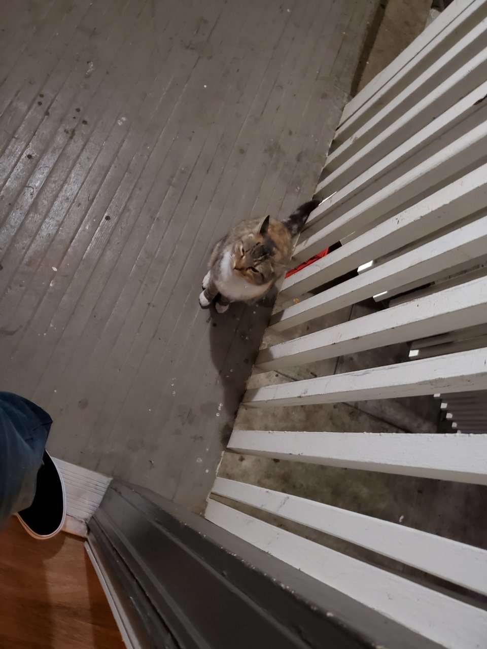 20191211_201359.jpg