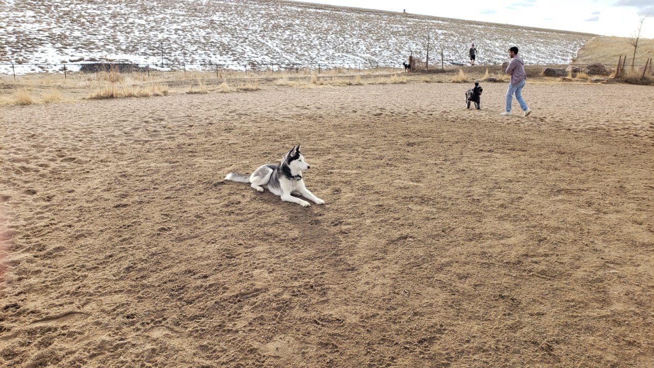 20191212_135358.jpg