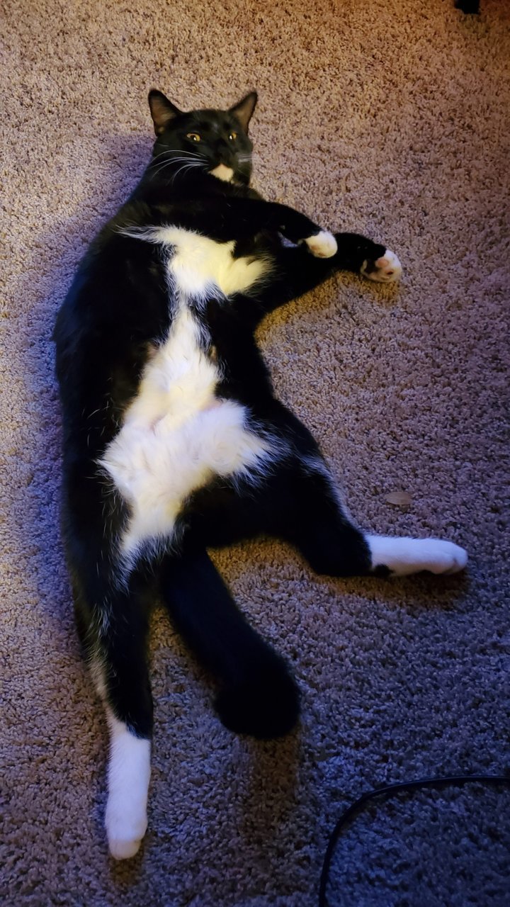 20191212_215052.jpg