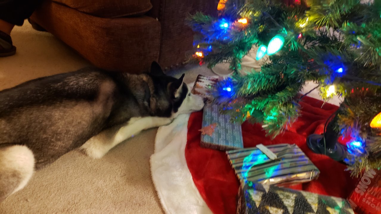 20191213_195551.jpg