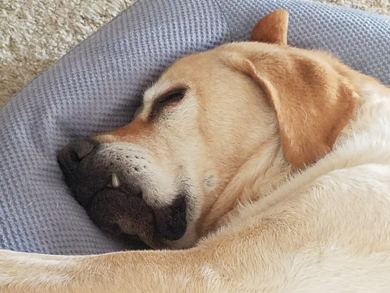20191214_094053.jpg