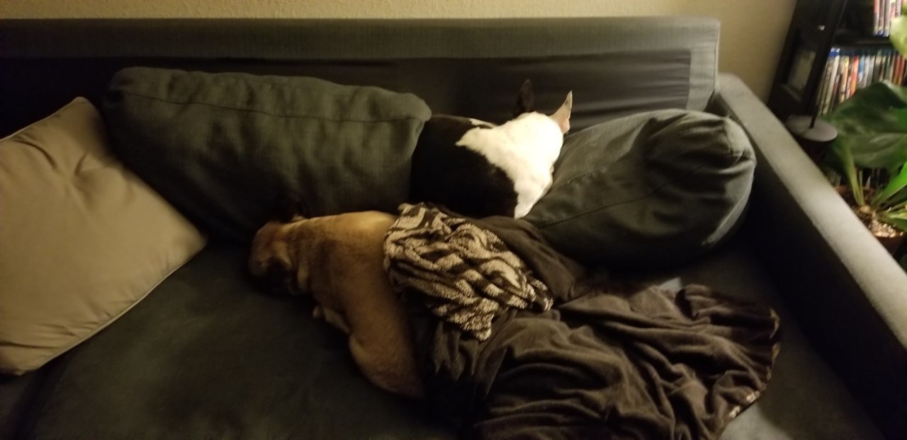 20191214_222113.jpg