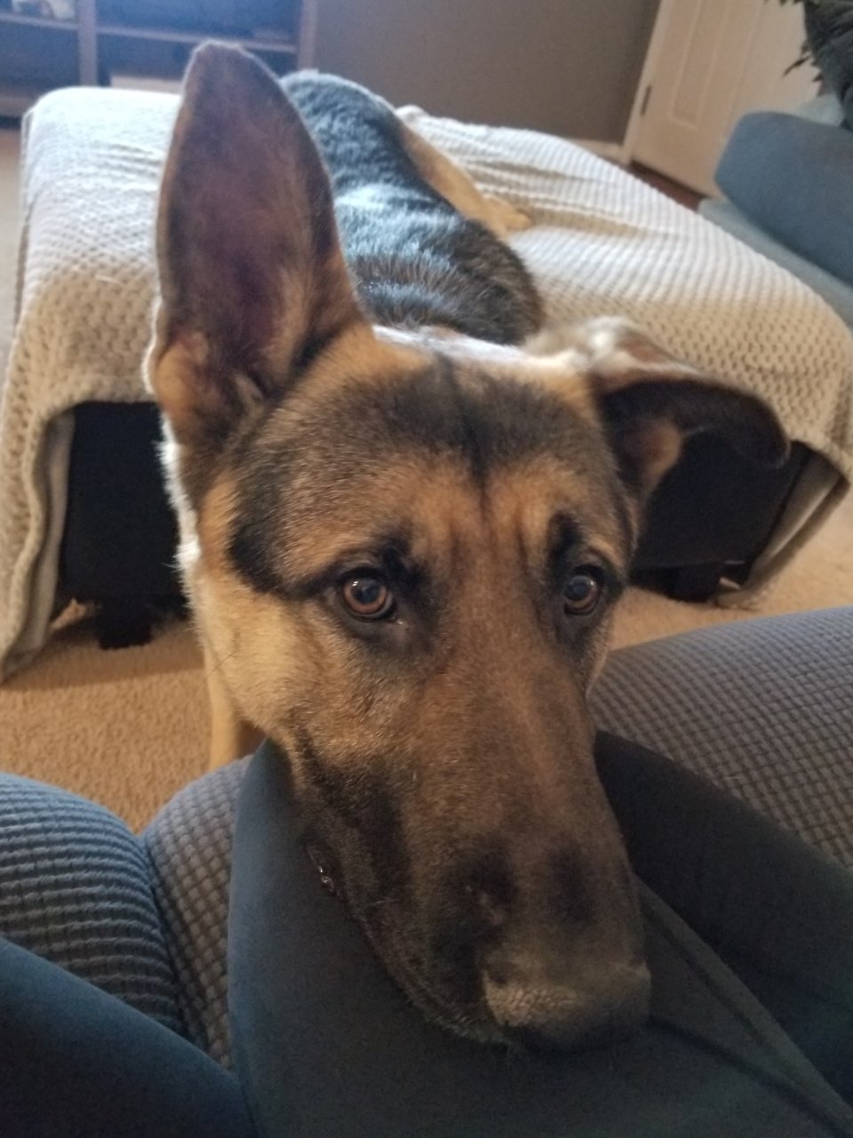 20191215_194453.jpg