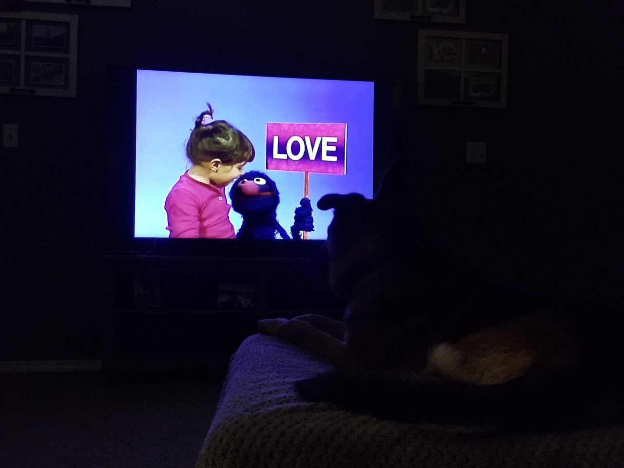 20191215_200152.jpg