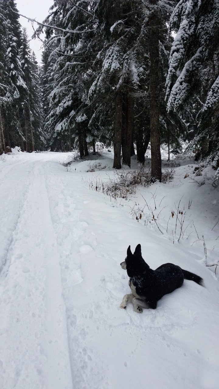 20191216_122559.jpg