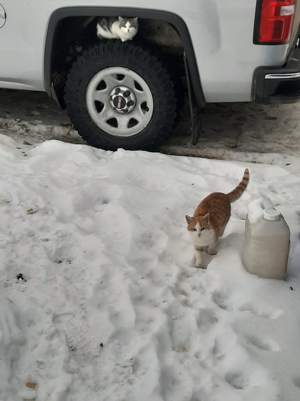 20191217_120235.jpg