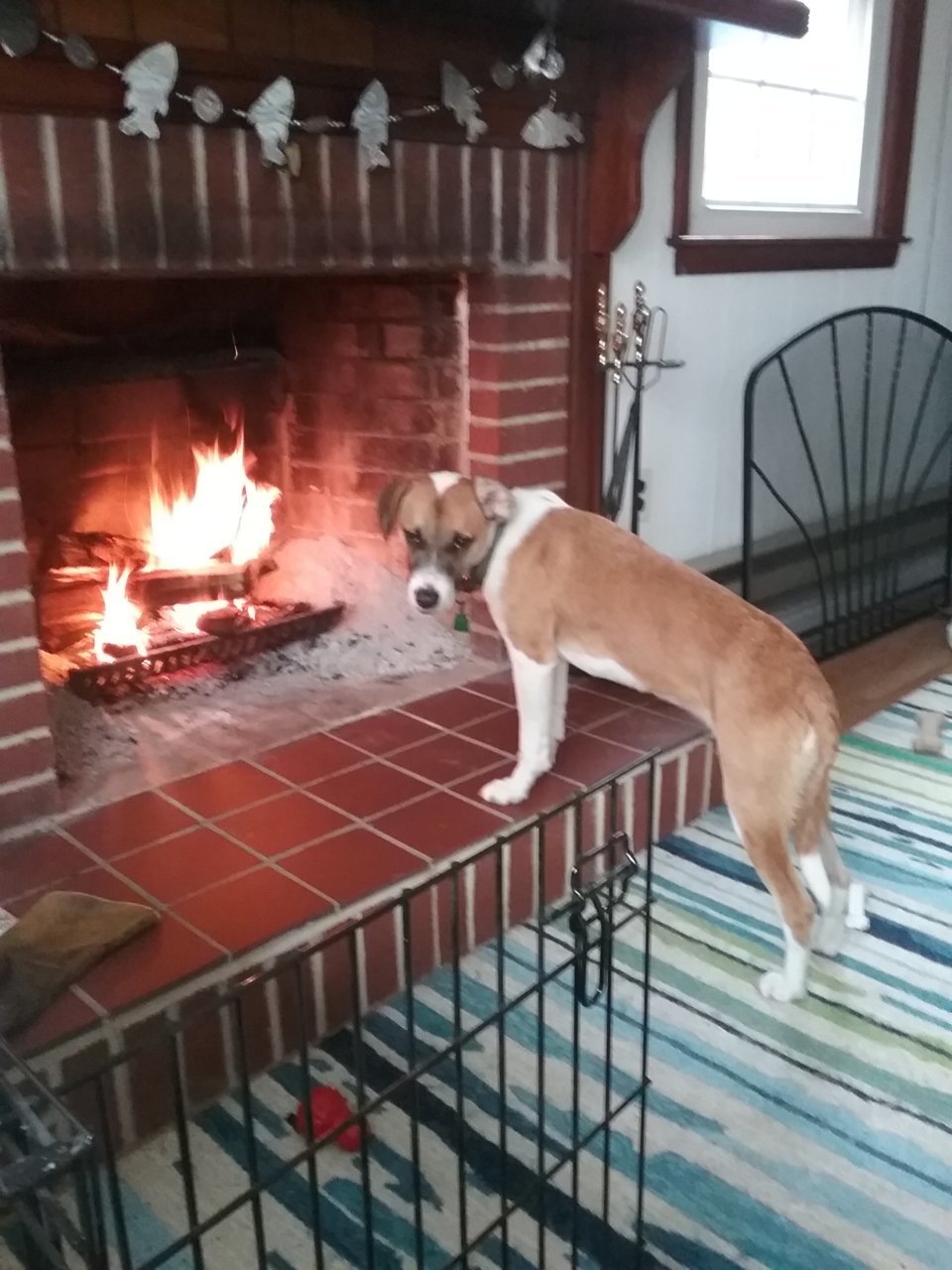 20191217_130726.jpg