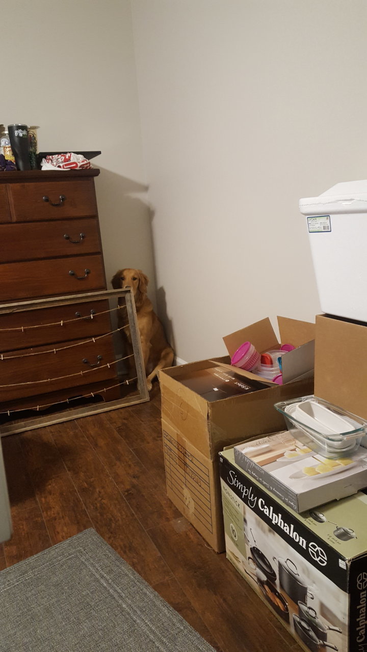 20191217_203338.jpg