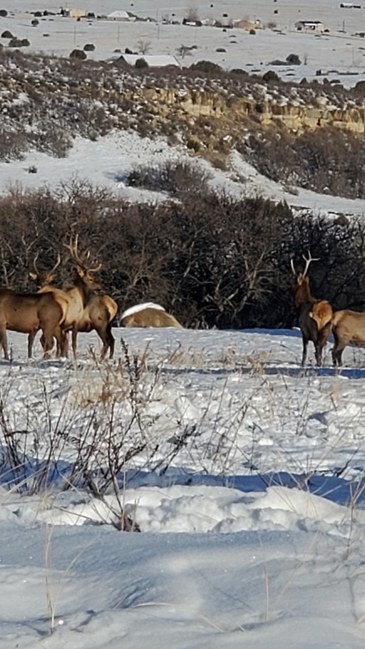 20191218_151615.jpg