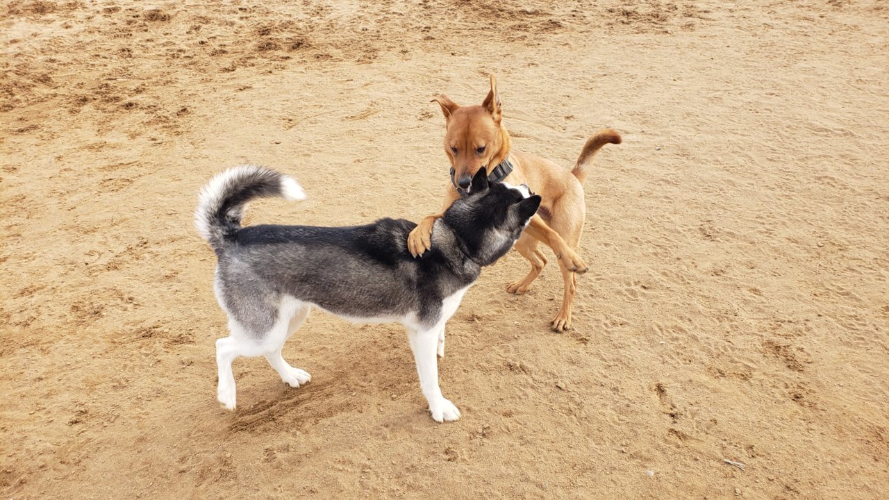 20191219_122125.jpg