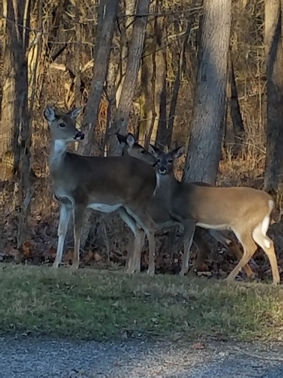 20191219_152203.jpg
