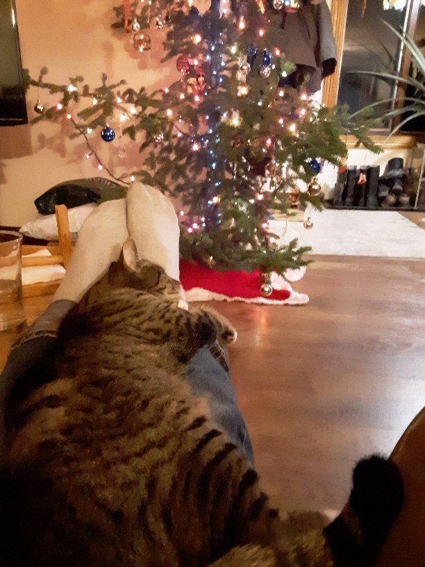 20191219_205553_resized.jpg
