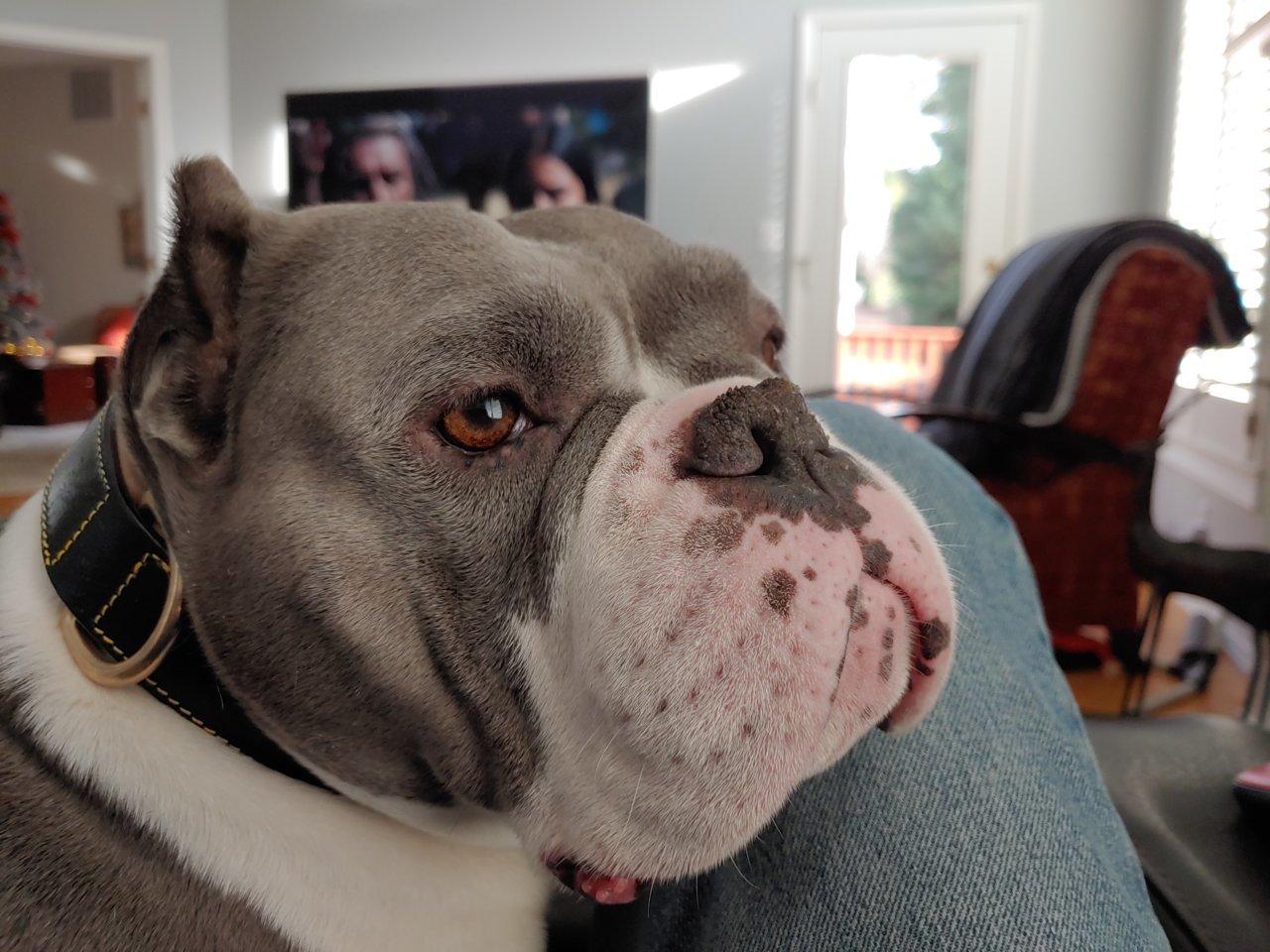 20191220_152327.jpg