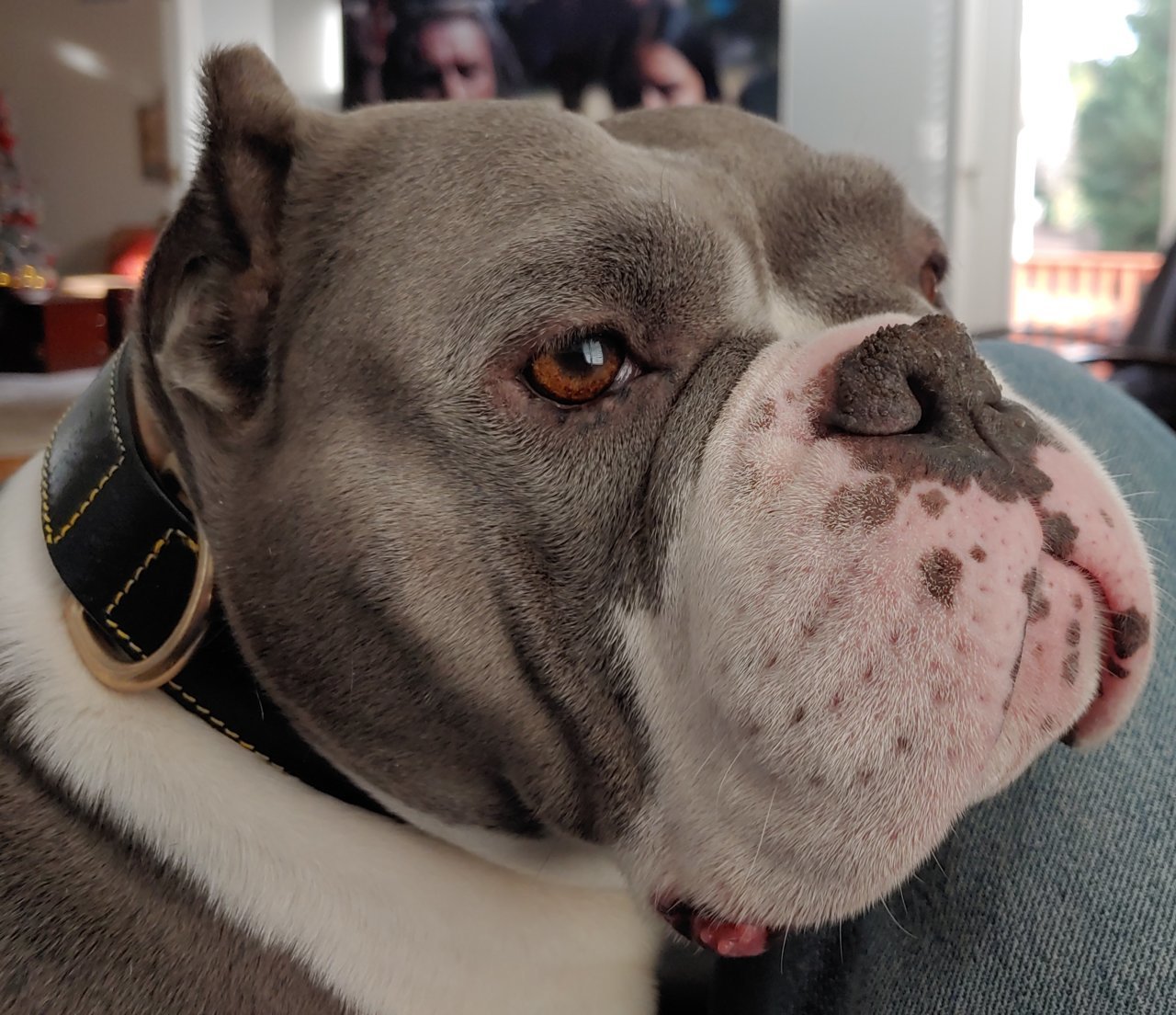20191220_152327_2.jpg