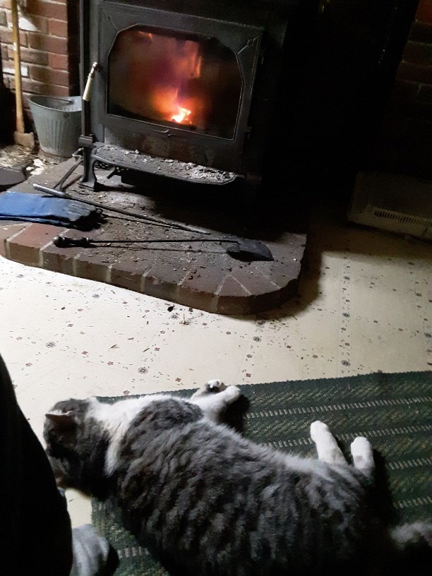 20191220_175031_resized.jpg