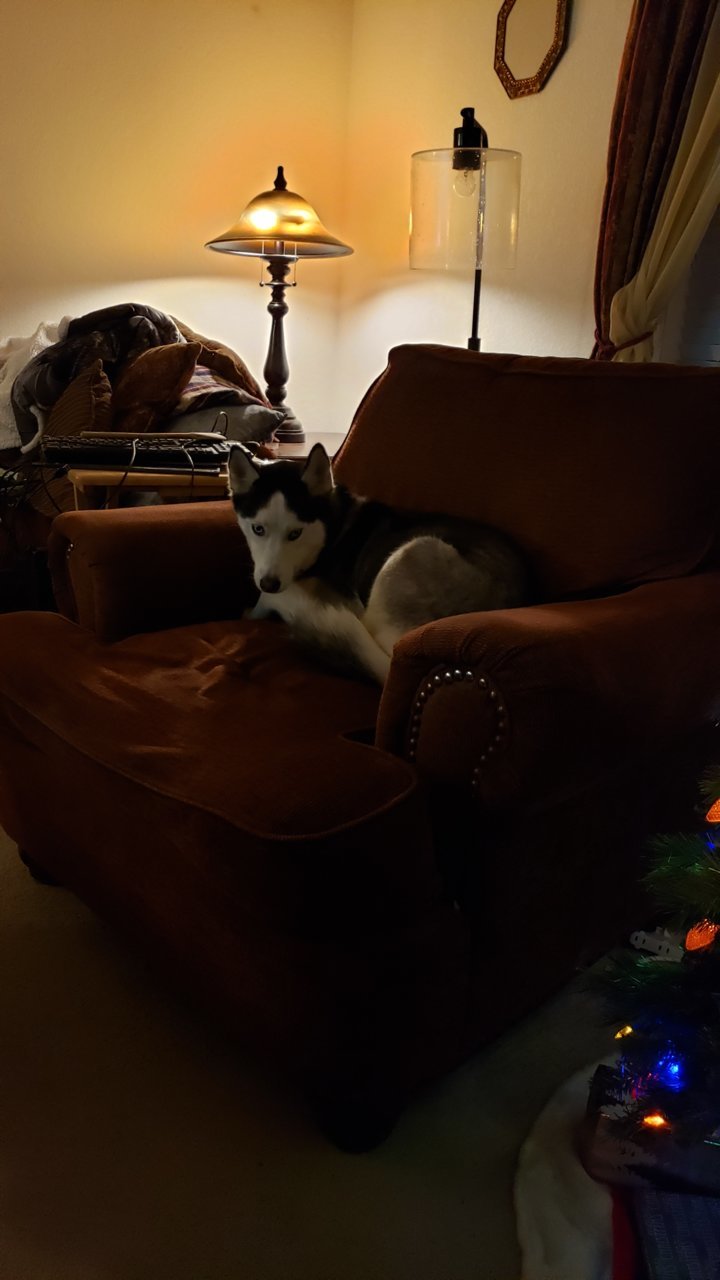 20191220_201139.jpg