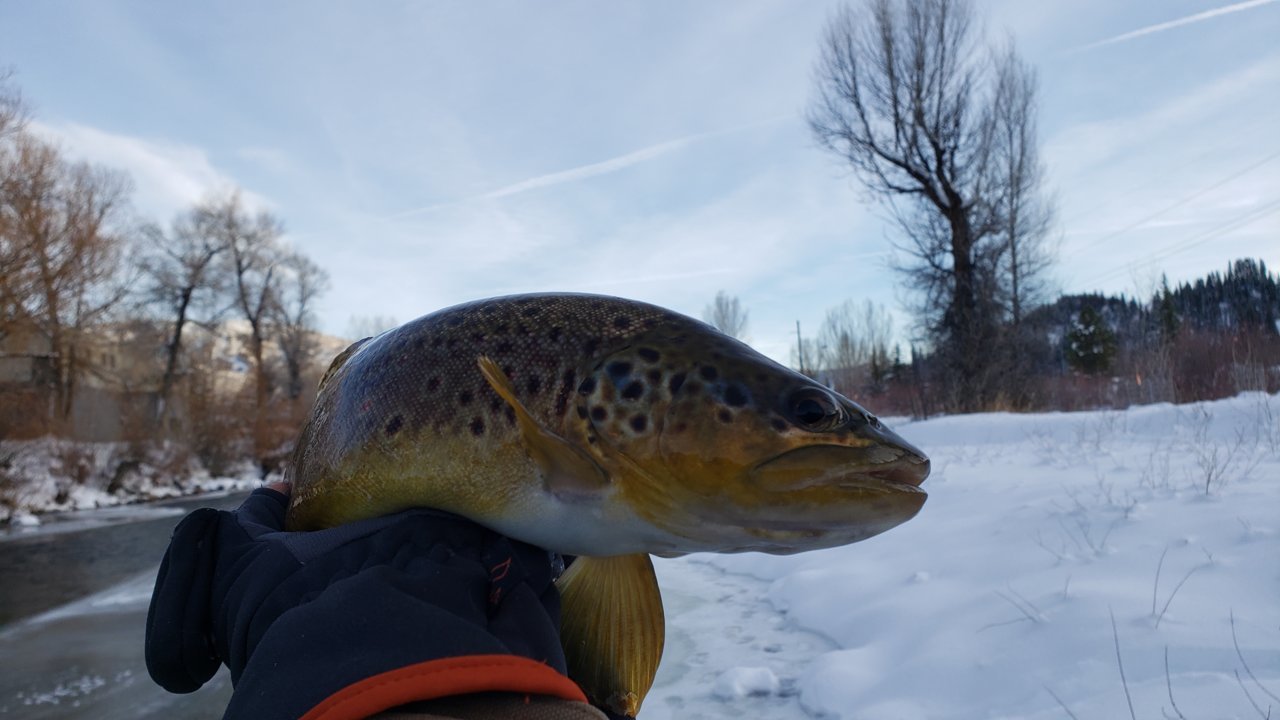 20191221_155308.jpg