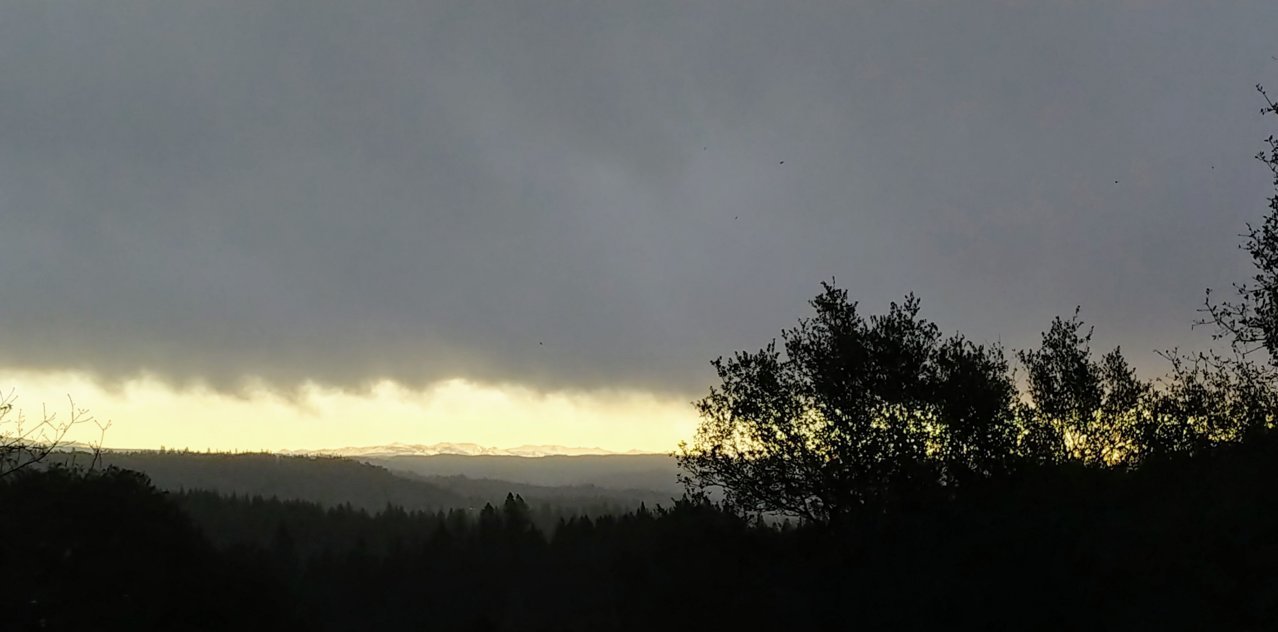 20191222_081428_HDR~3.jpg