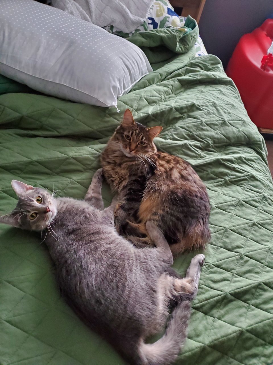 20191222_114627.jpg