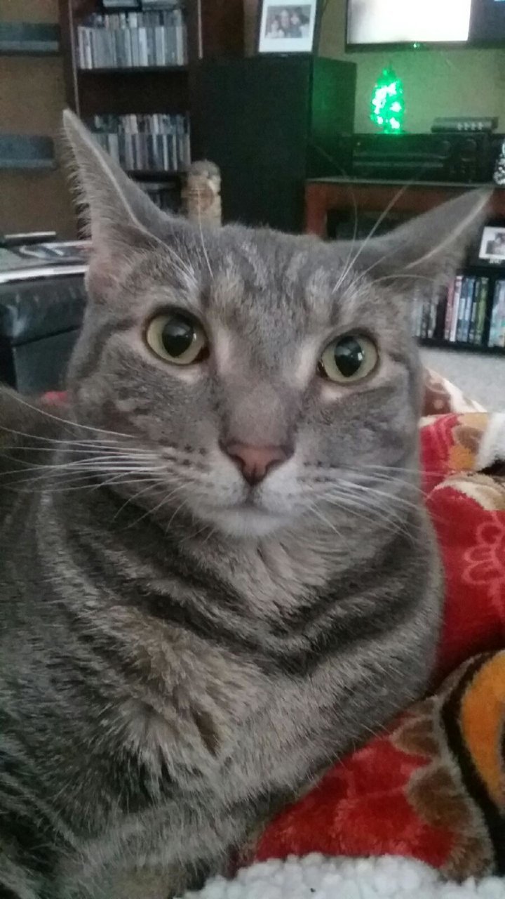 20191222_133058.jpg