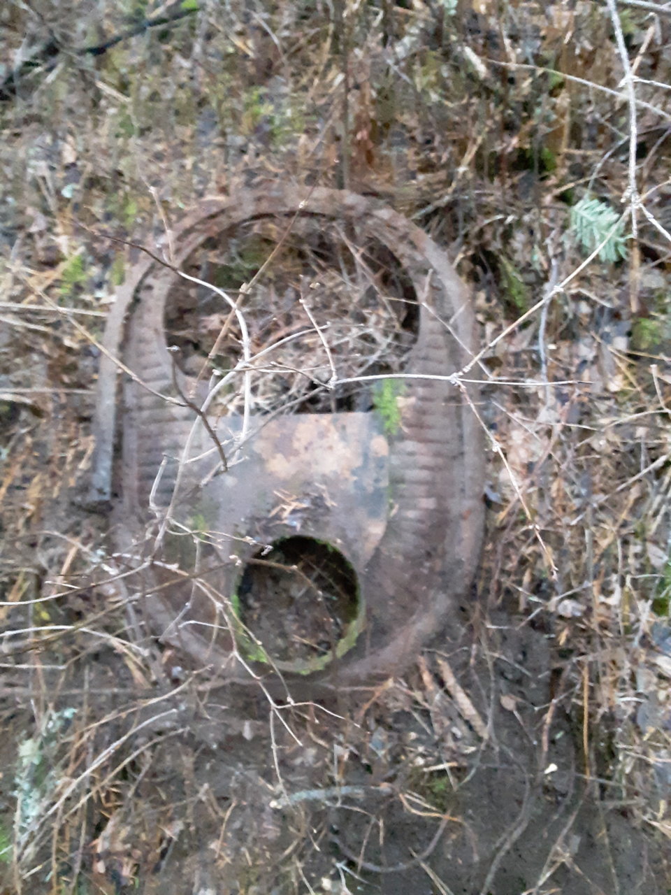 20191224_152401.jpg