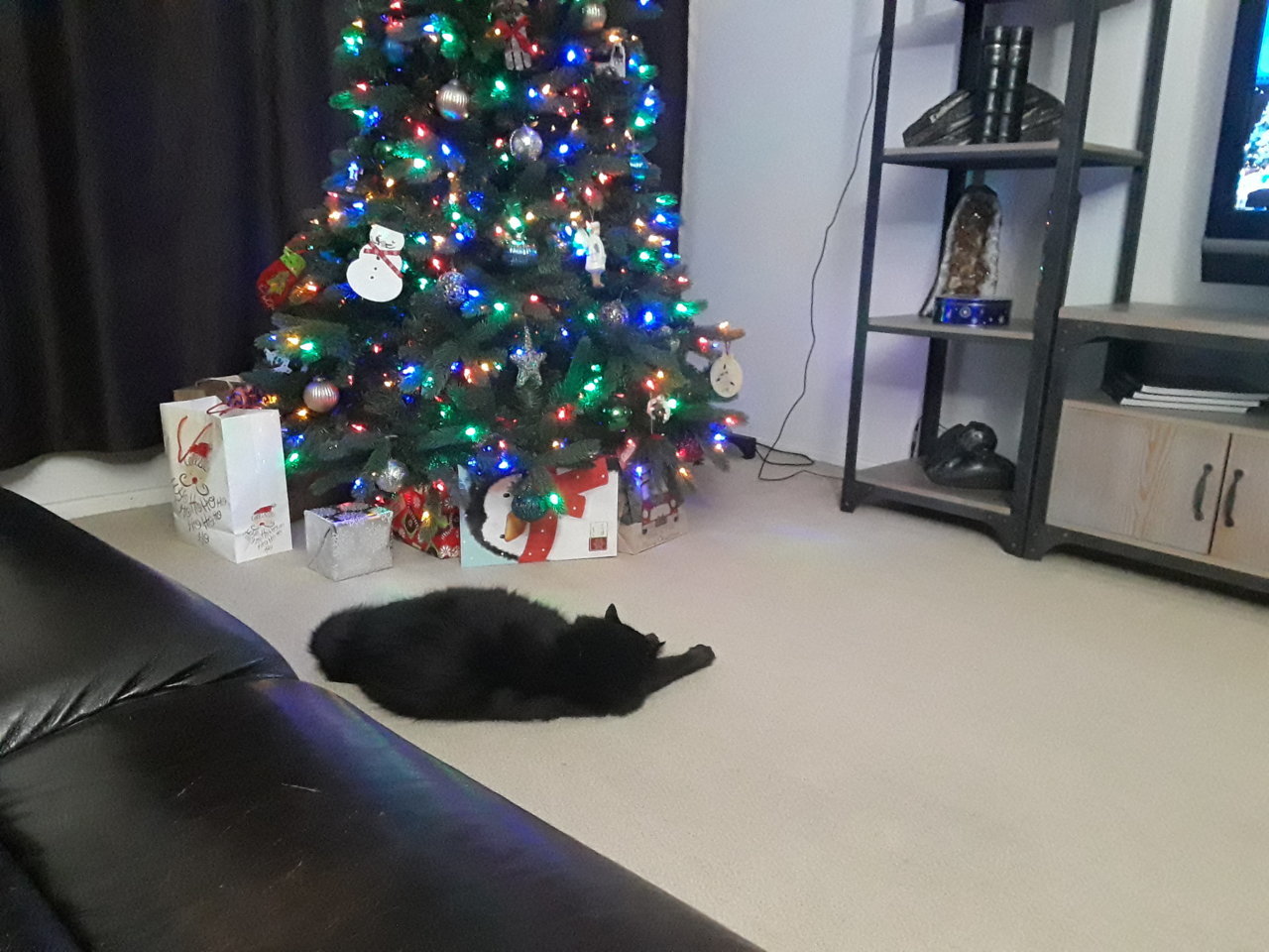 20191224_195252.jpg