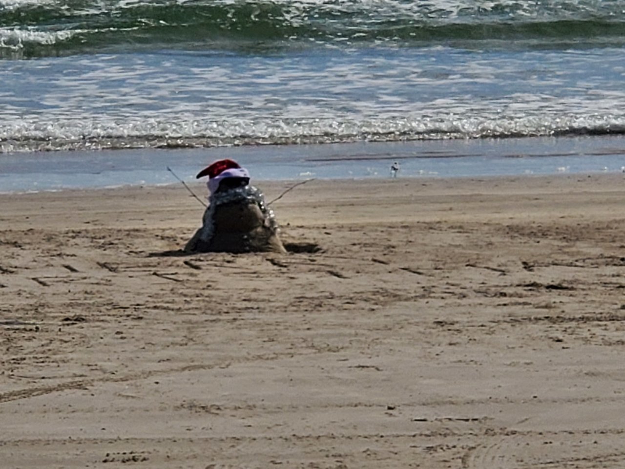 20191225_113331.jpg