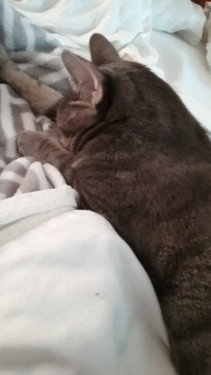 20191225_115711.jpg
